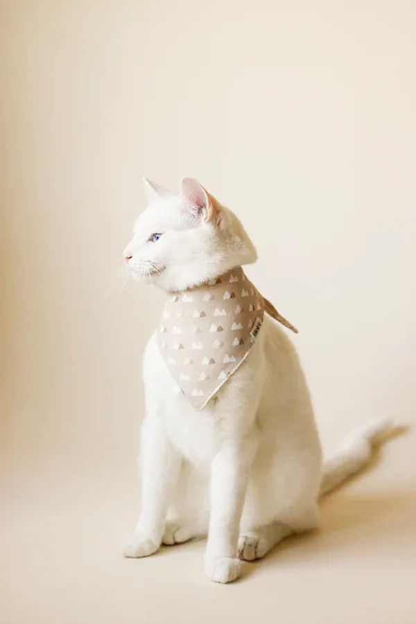 Bandana Soft Mountains