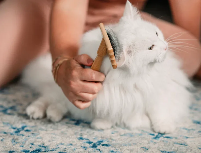 Zefiro Pet Brush