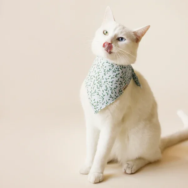 Bandana Fur-Get-Me-Not — photo 2