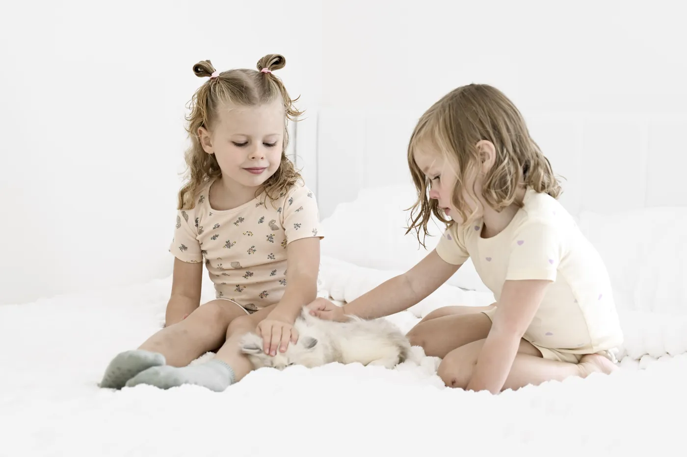 Our two young daughters gently petting a Ragdoll kitten at home