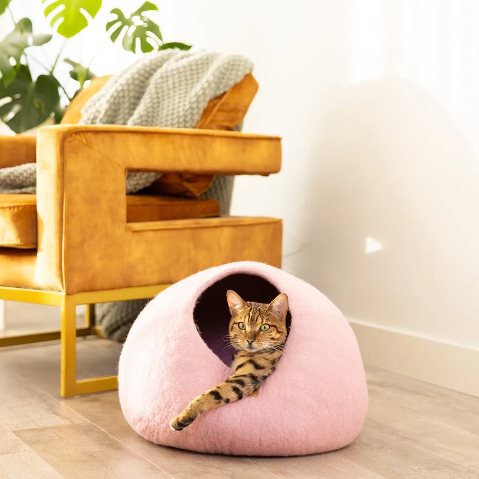 Premium Felted Wool Cat Cave Bed — photo 2