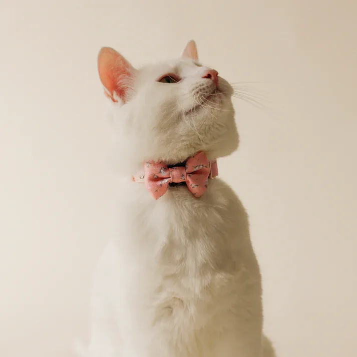 Bow Tie Meadow — photo 2
