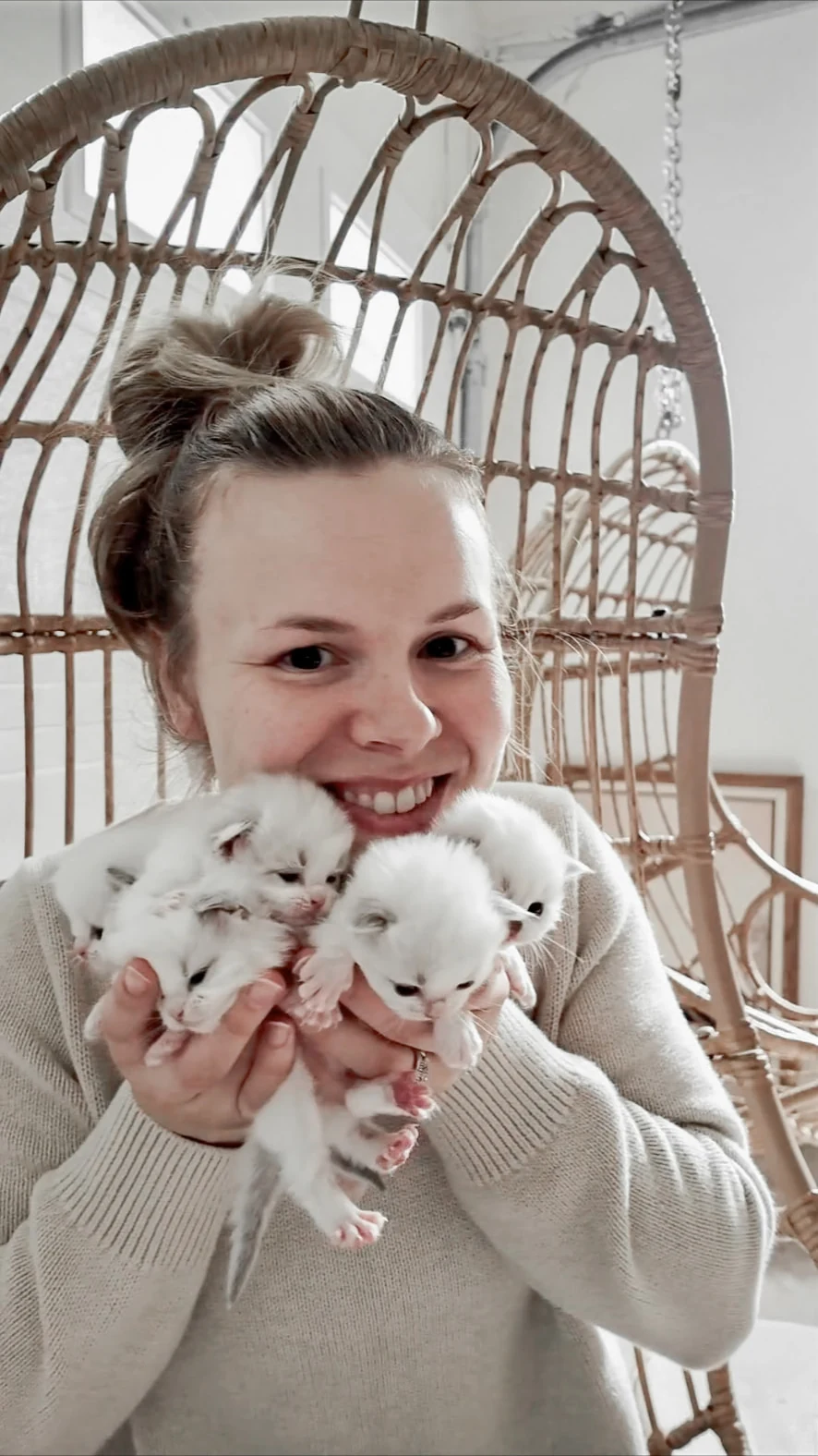 Kaitlin, Co-owner & breeder at River Haze Ragdolls