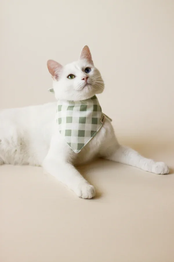 Bandana Pastel Vichy — photo 2