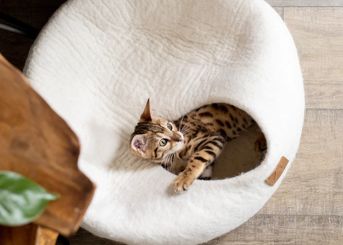 Premium Felted Wool Cat Cave Bed