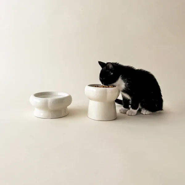 Creamy Bowl Kit