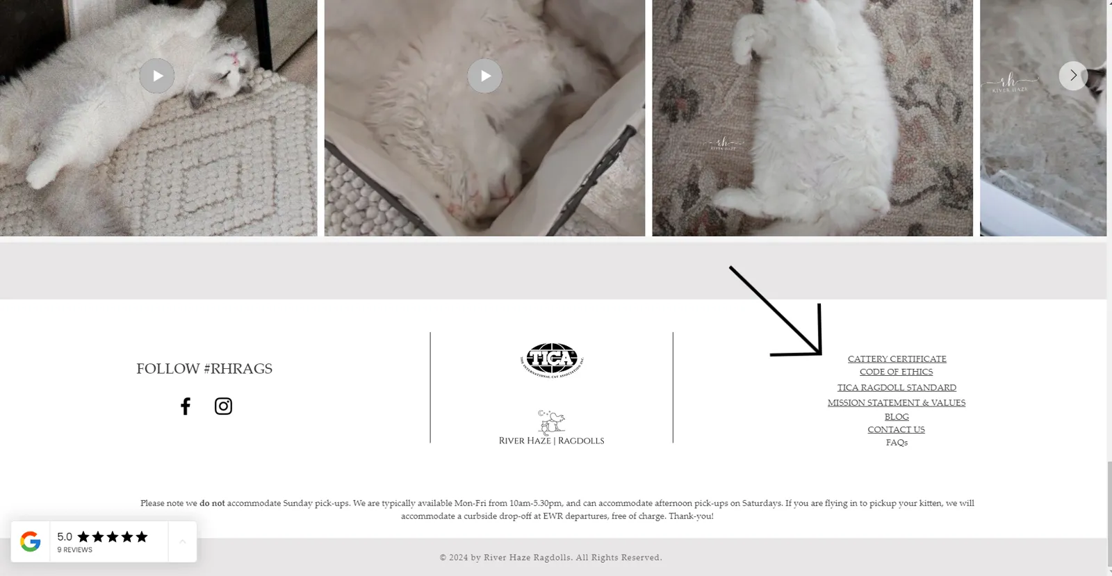 Finding Your Perfect Match: How to Choose a Reputable Ragdoll Cat Breeder